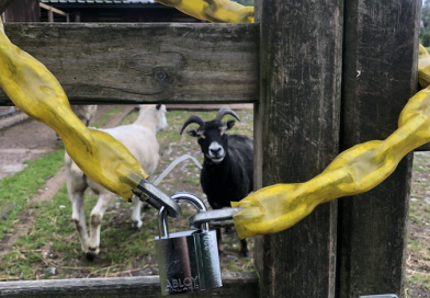 https://meansofescape.com/abloy-donates-padlocks-after-animal-thefts